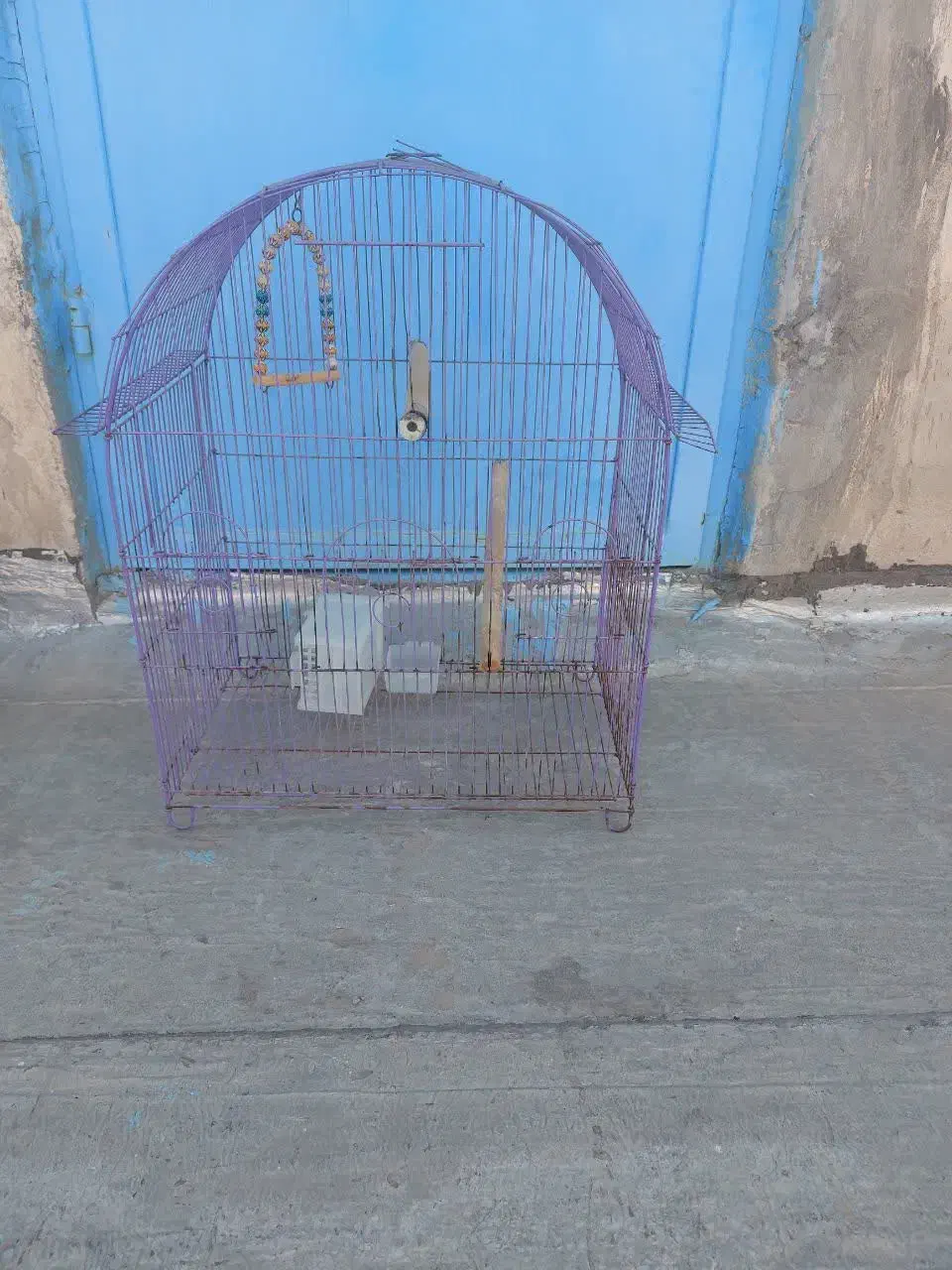 قفس پرنده|لوازم جانبی حیوانات|امیدیه, |دیوار