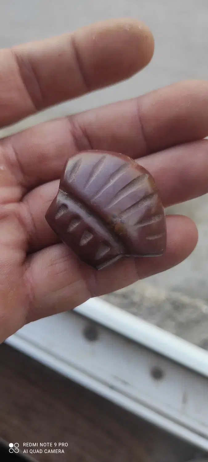 هبهاب کهنه|آرایشی، بهداشتی، درمانی|بندر گز, |دیوار