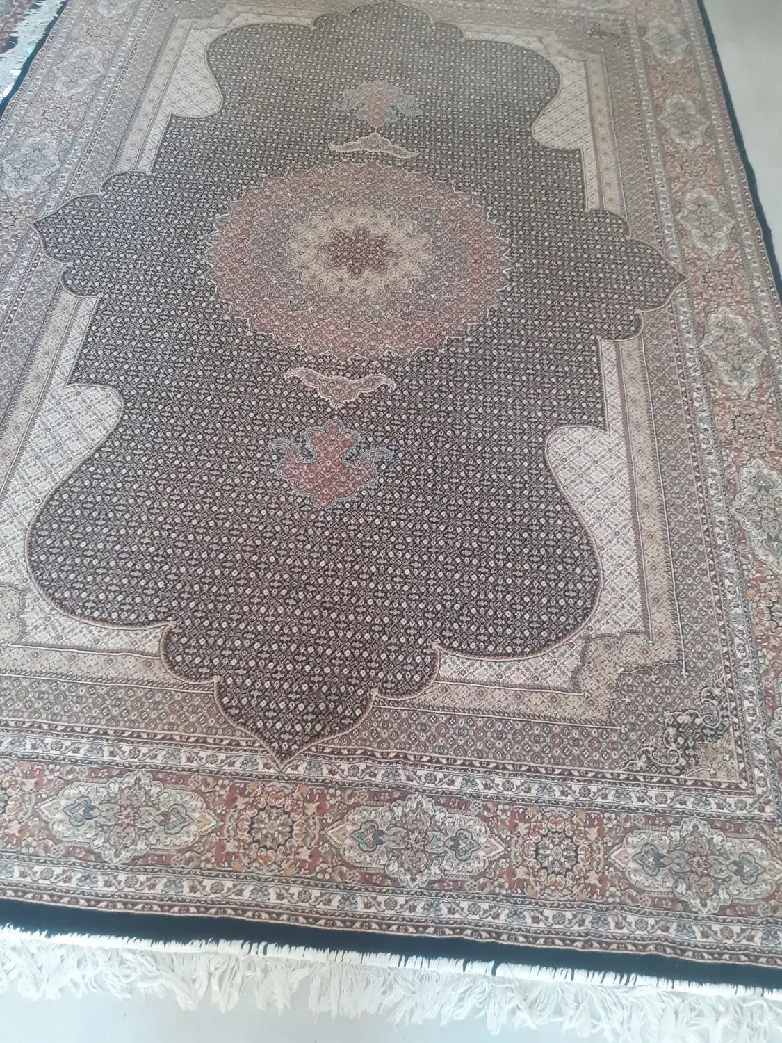 فرش ۶متری نقش ماهی|فرش|گرمسار, |دیوار