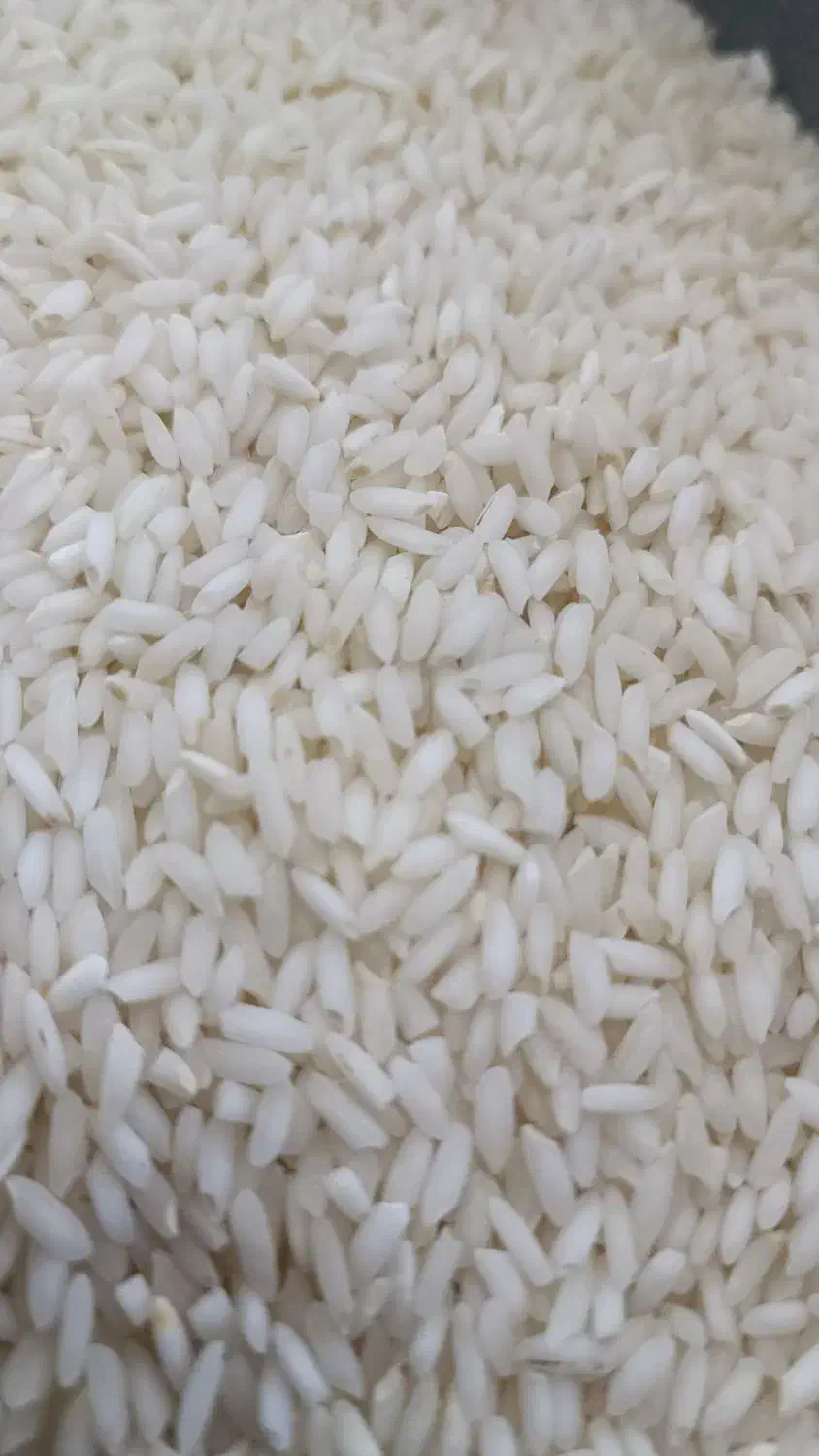 برنج عنبر بو تیلکی شوشتر|خوردنی و آشامیدنی|شاهین‌شهر, خانه کارگر|دیوار