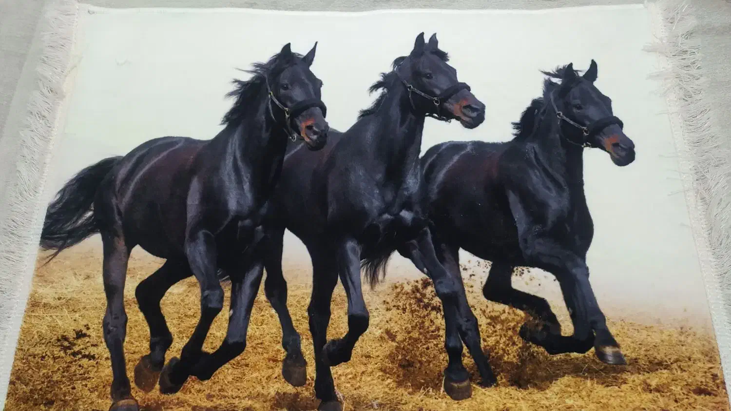 تابلو فرش،پادری|تابلو فرش|خمینی‌شهر, |دیوار