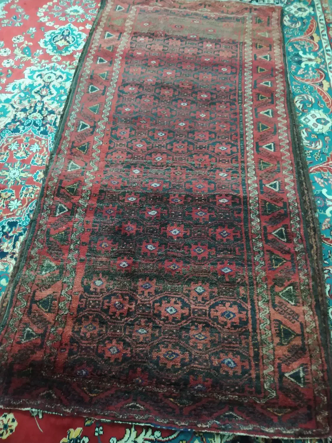 فرش دستباف|فرش|زاهدان, |دیوار