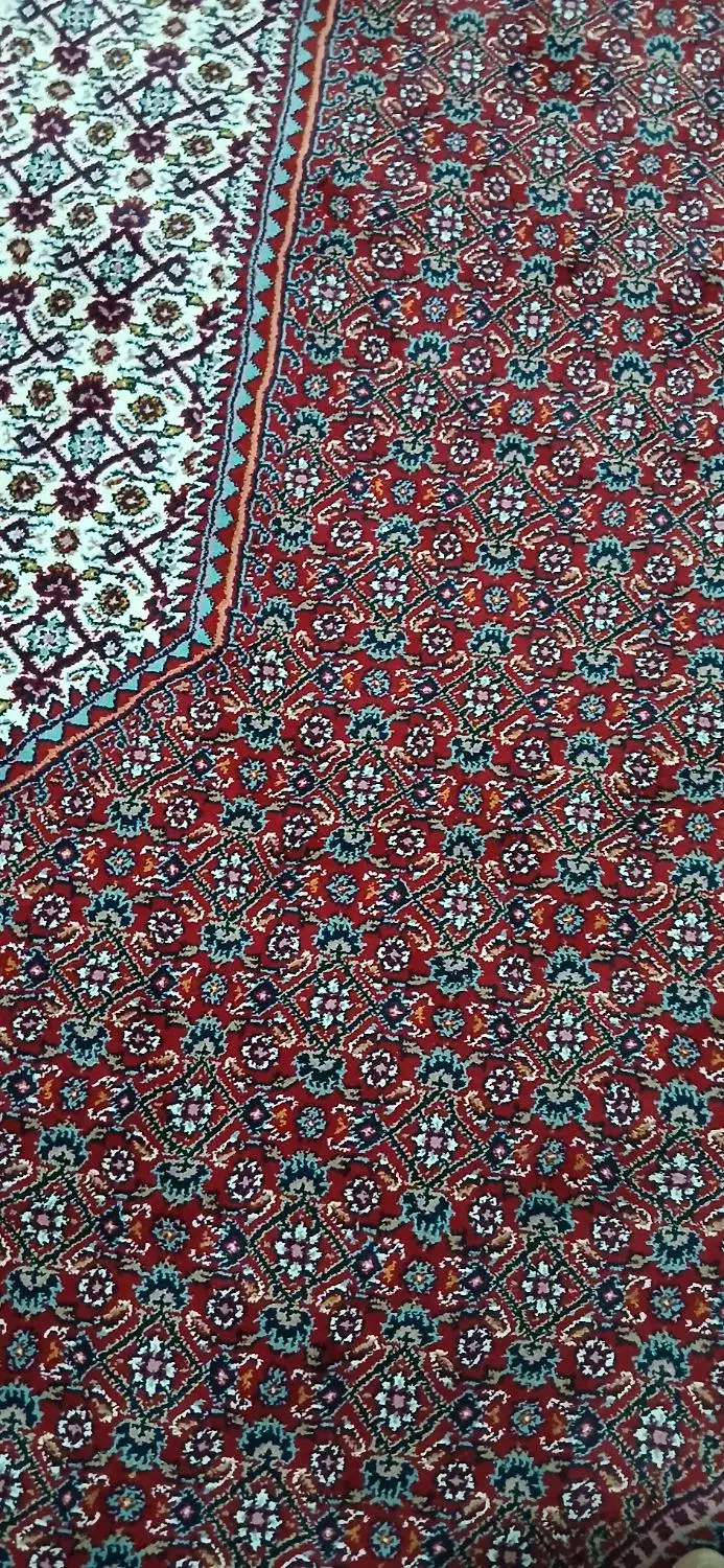 فرش ۱۲ متری افشار|فرش|زنجان, |دیوار