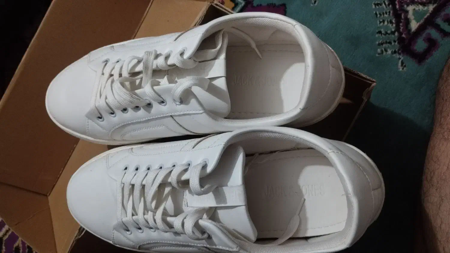 کفش|کیف، کفش، کمربند|اهواز, زندوکیلی|دیوار