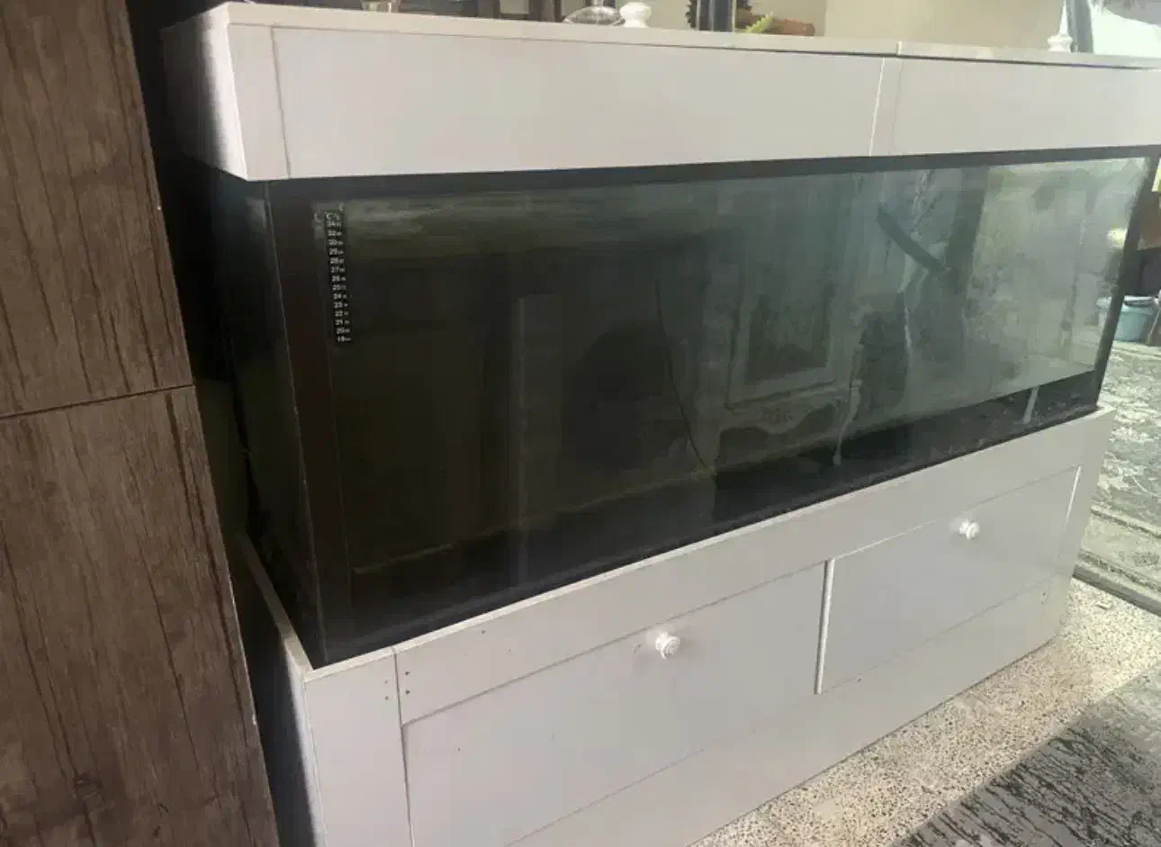 اکواریوم|ماهی|شاهرود, |دیوار