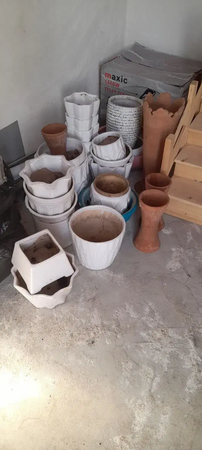 گلدان سفالی|گل و گیاه طبیعی|گرگان, |دیوار