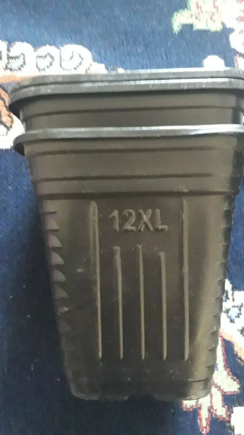 گلدان ژله ای مربعی|گل و گیاه طبیعی|اهواز, زردشت|دیوار