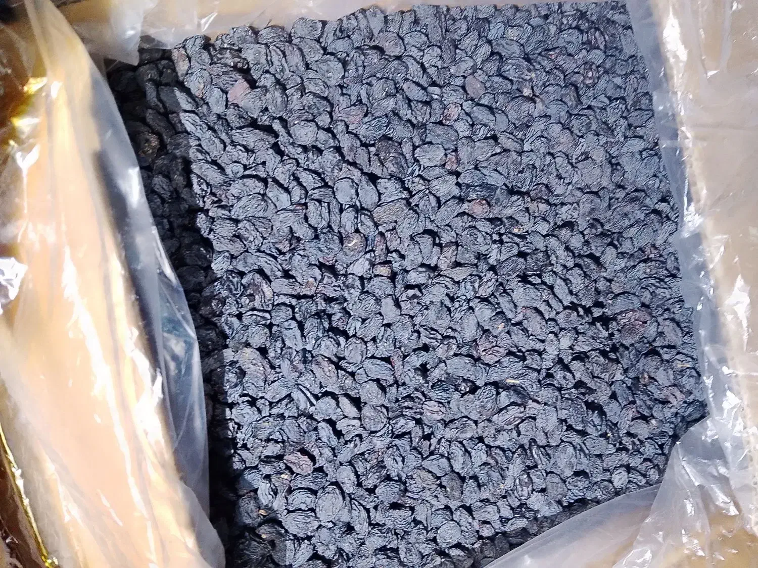 مویز|خوردنی و آشامیدنی|خوی, |دیوار