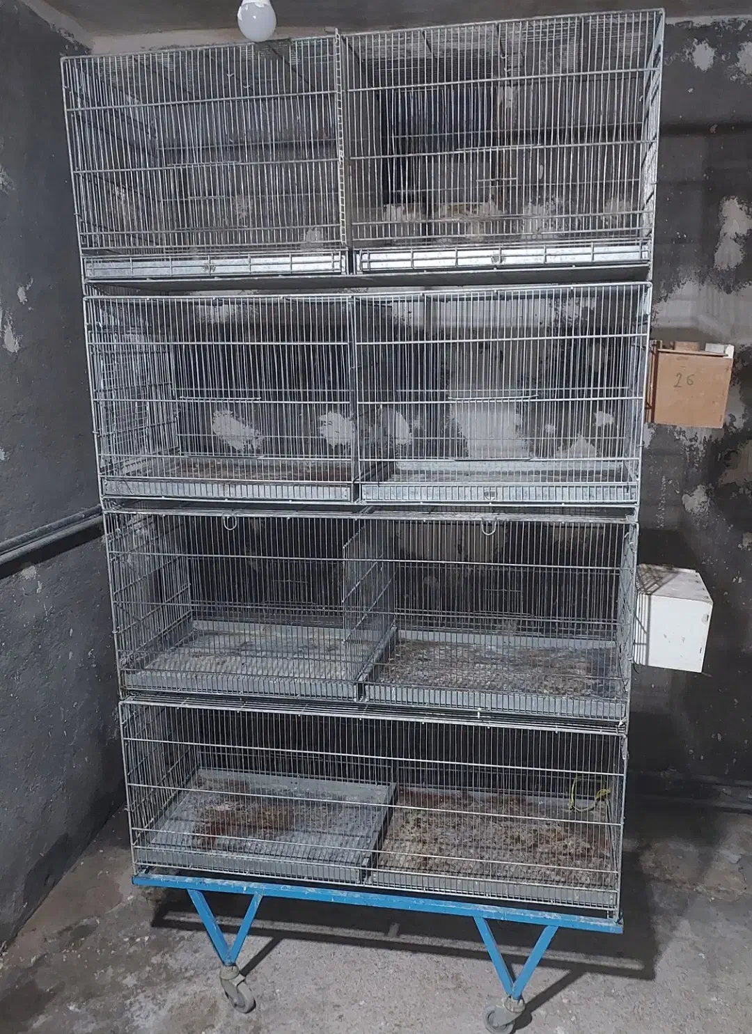 قفس چهار طبقه|لوازم جانبی حیوانات|مرند, |دیوار