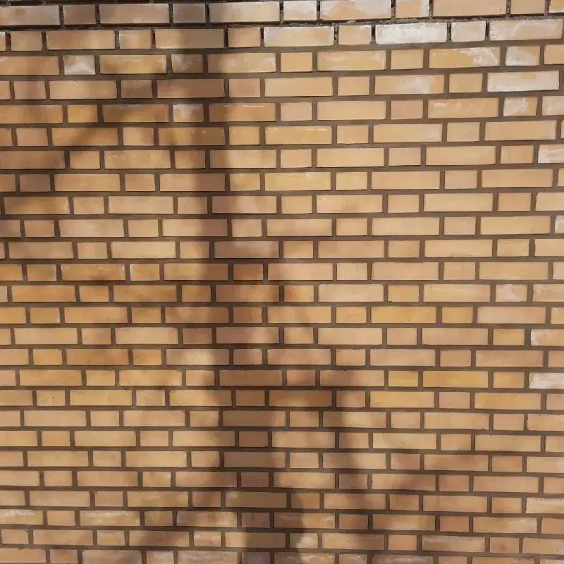 کار ساختمانی|خدمات پیشه و مهارت|تبریز, |دیوار