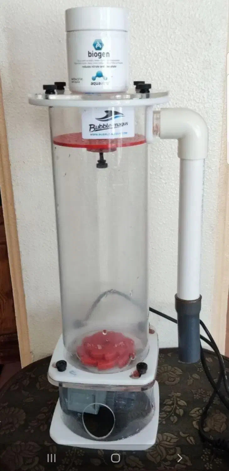 رآکتور بابل ماگوس آکواریوم|ماهی|شاهینشهر, مخابرات (شهید بهشتی)|دیوار