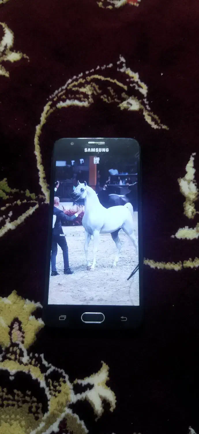 گوشی|موبایل|پارسآباد, |دیوار