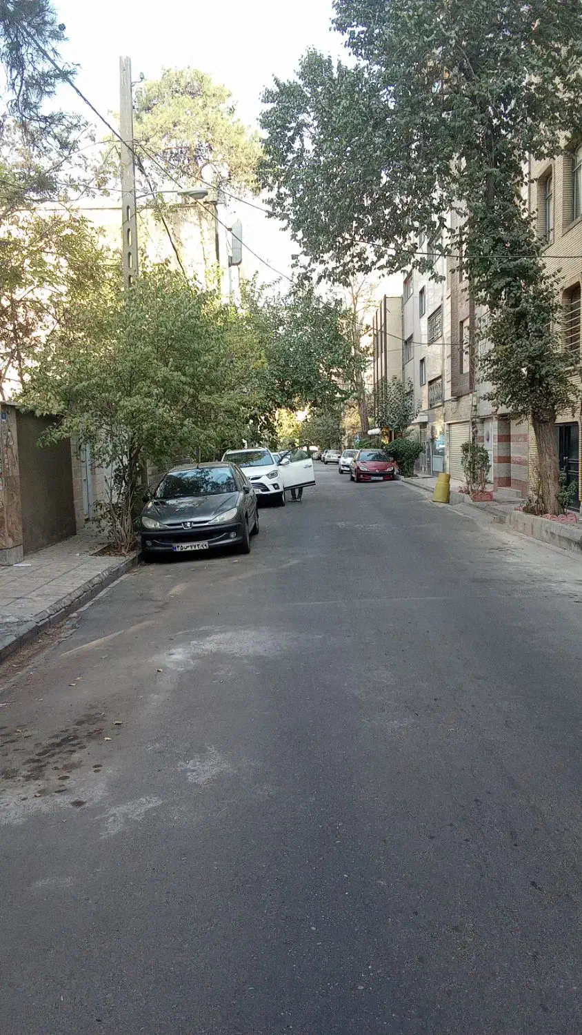 1000متر کریمخان|فروش زمین و ملک کلنگی|تهران, عباسآباد|دیوار