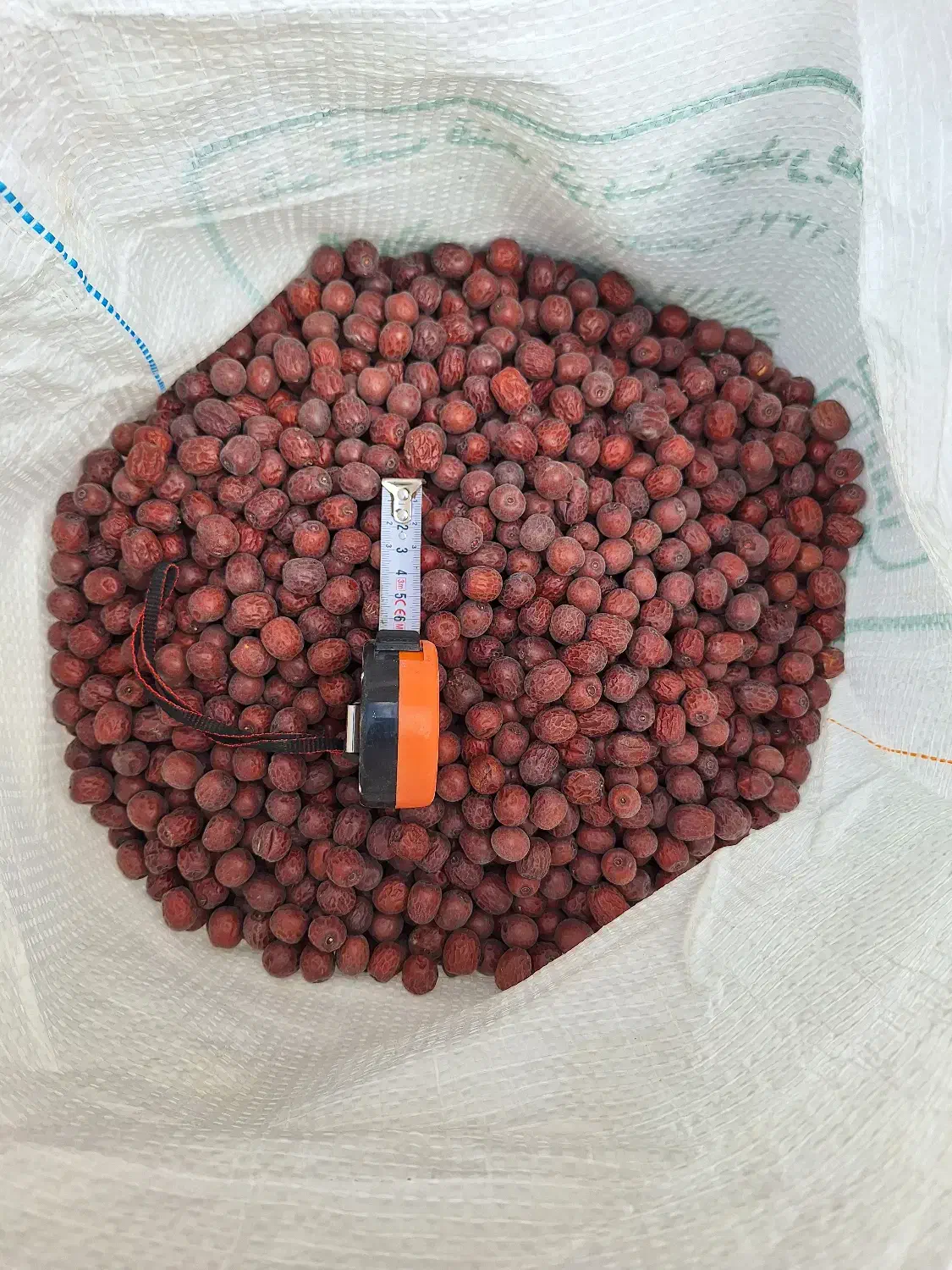 عناب سایز ۱۴ تا ۱۷|خوردنی و آشامیدنی|قائن, |دیوار