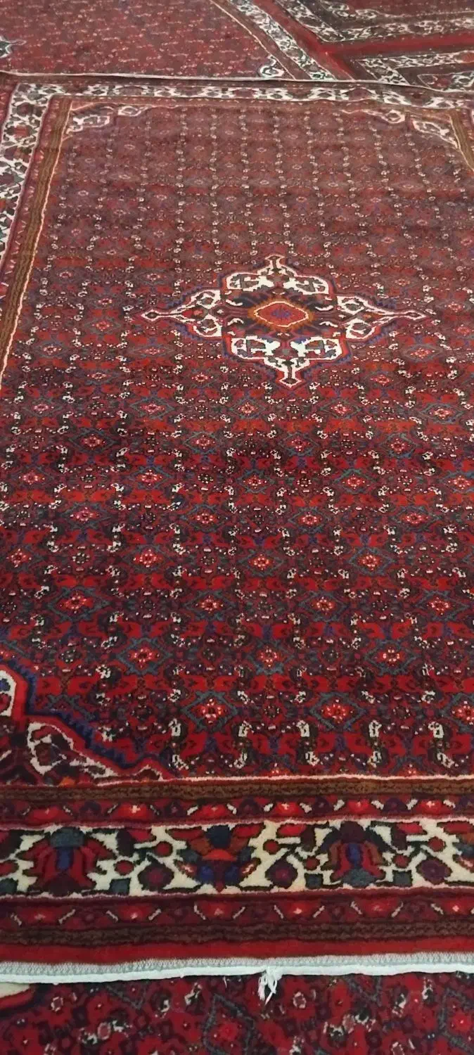 فرش دست بافت کارکرده سالم|فرش|همدان, |دیوار