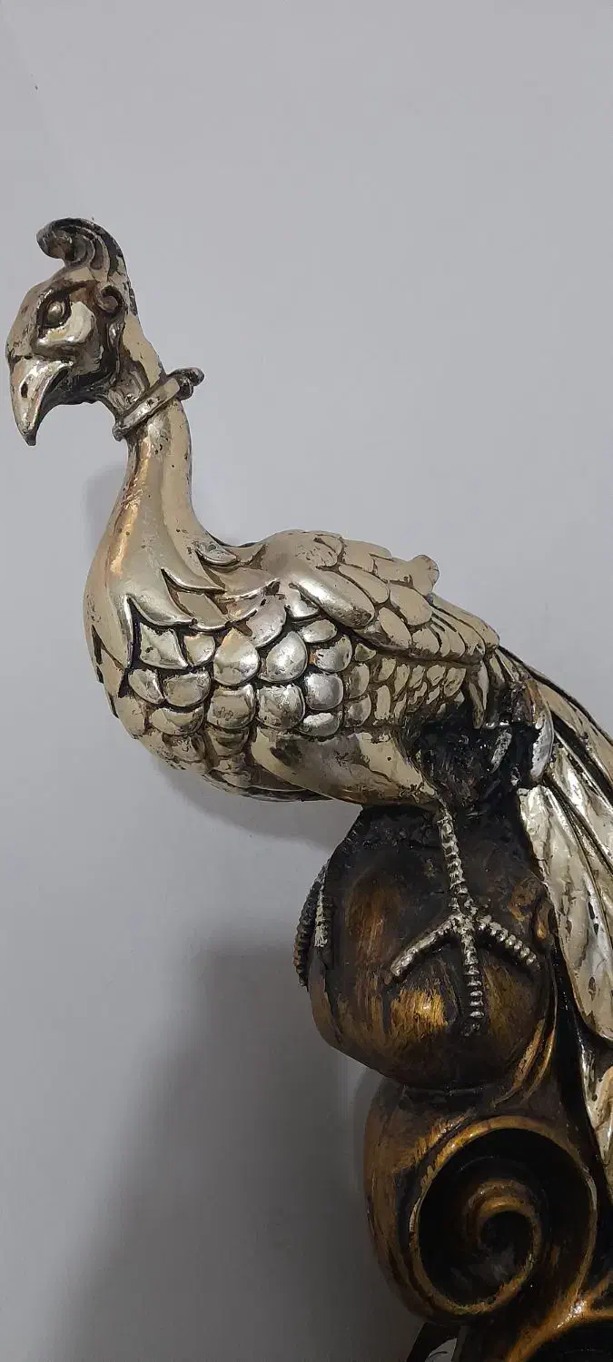 دکوری طاووس|مجسمه، تندیس، ماکت|قم, شهرک فاطمیه|دیوار