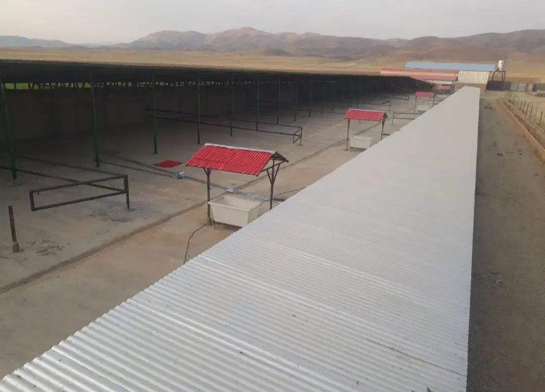 گاوداری صنعتی و زمین کشاورزی|فروش دفتر صنعتی، کشاورزی، تجاری|شیروان (لرستان), |دیوار