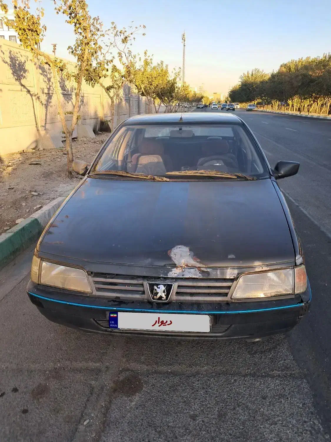 فروش پژو روا|خودرو سواری و وانت|فردیس, فردیس|دیوار