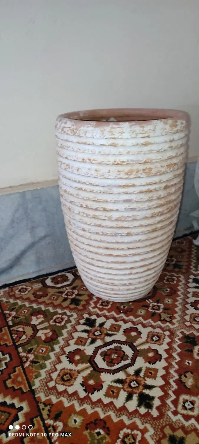 گلدان|گل و گیاه طبیعی|مشهد, نیزه|دیوار