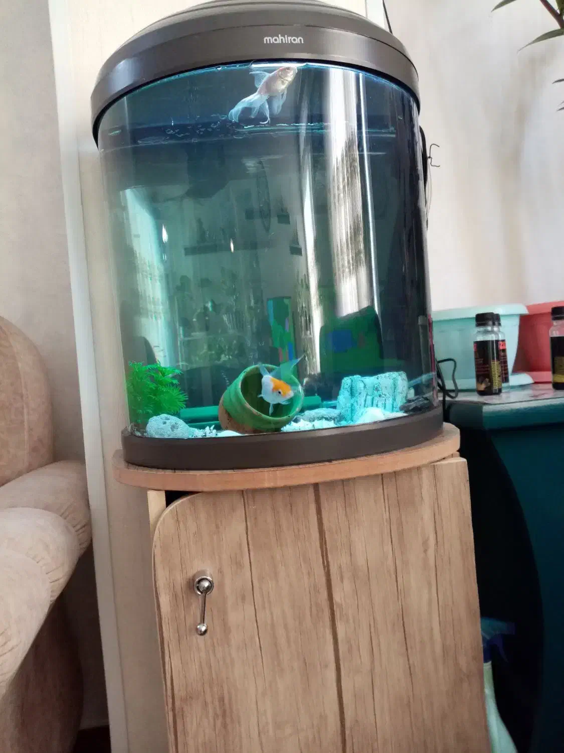 آکواریوم نیم دایره ماهیران|ماهی|شهریار, شهرک وائین|دیوار