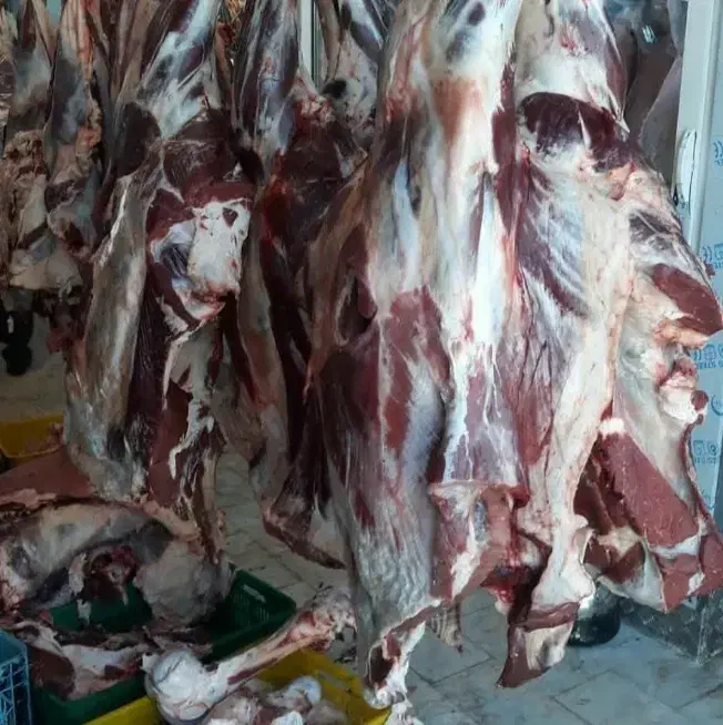 فروش عمده و جزیی گوشت بره.گوساله و گوسفندی|عمده‌فروشی|اصفهان, دشتستان|دیوار