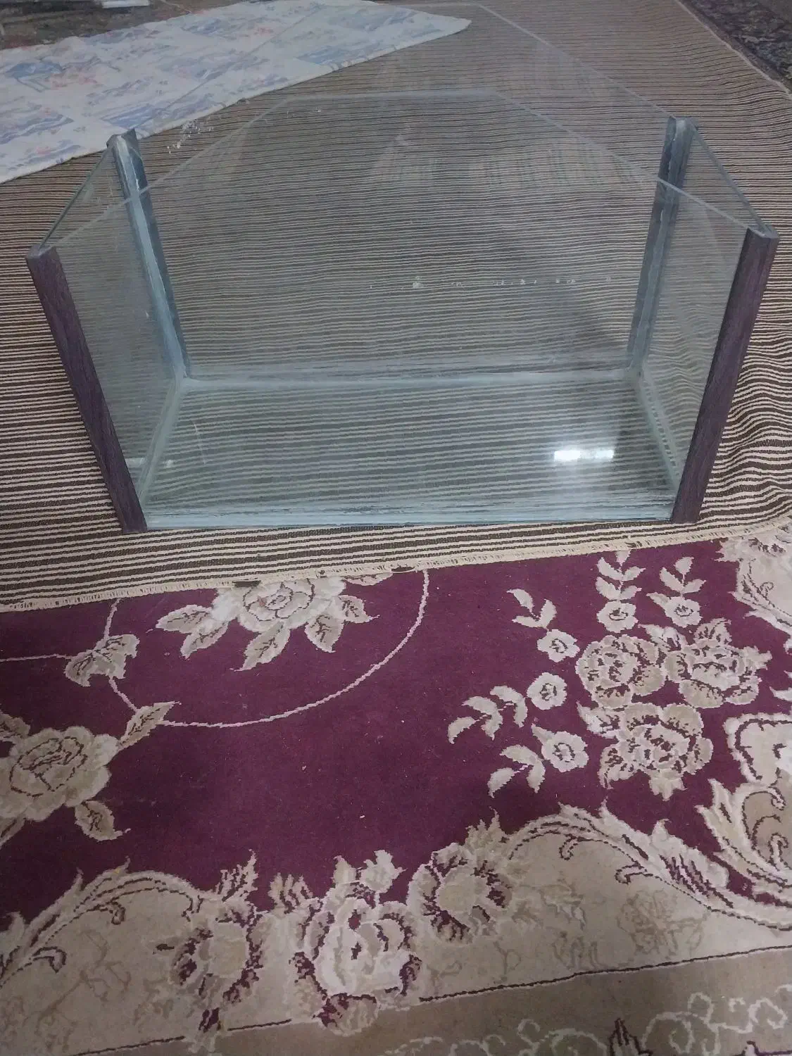 آکواریوم با لوازم|ماهی|نجفآباد, جوزدان|دیوار