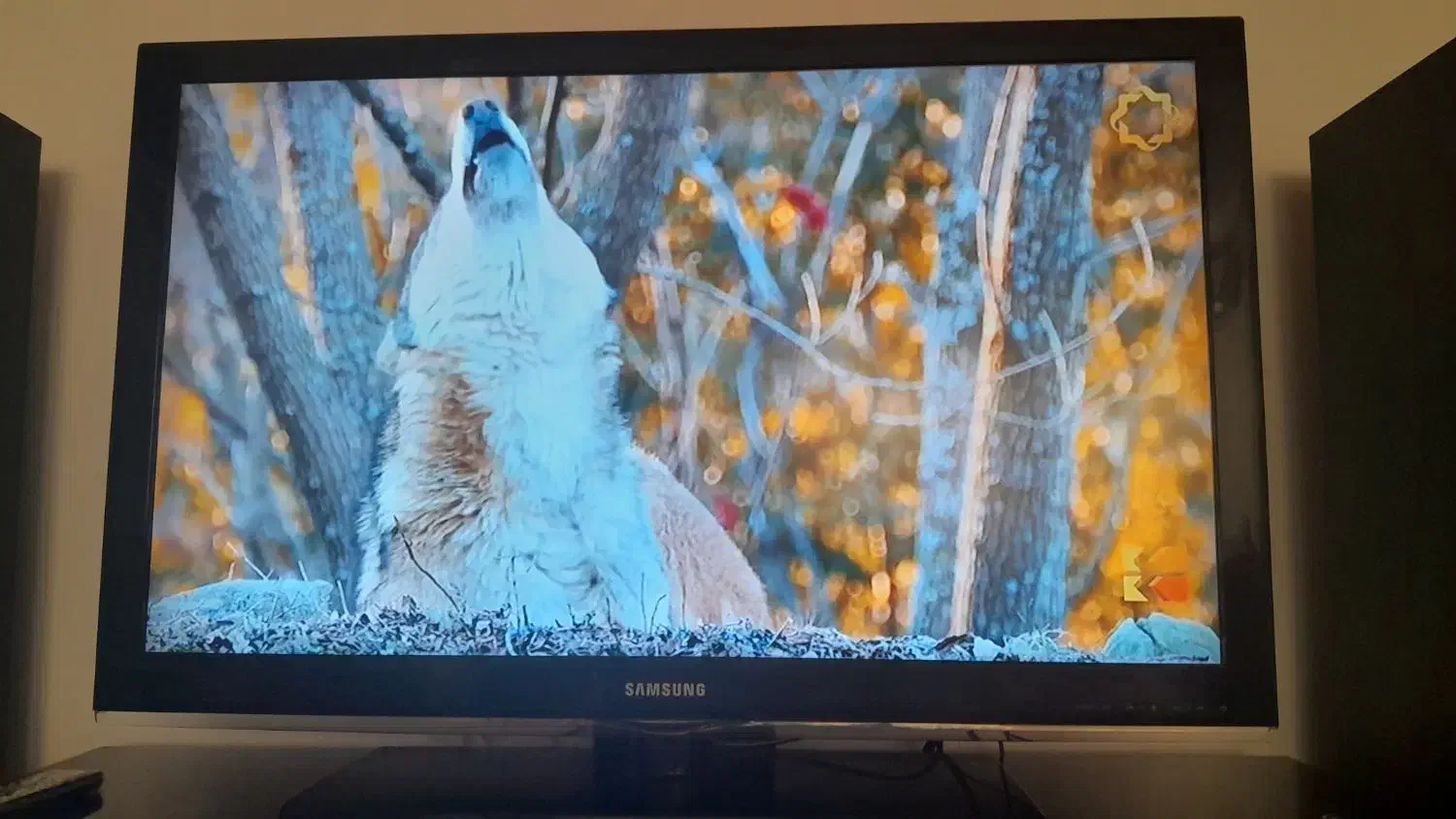 تلویزیون سامسونگ.۴۳ اینچ .ال سی دی.فلش خور .سالم|تلویزیون و پروژکتور|میانه, |دیوار