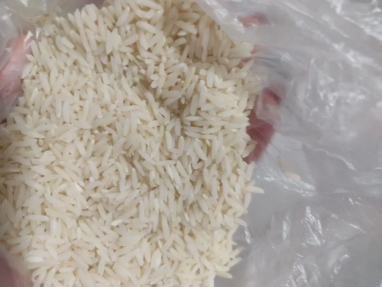 برنج طارم فریدونکنار|خوردنی و آشامیدنی|فریدونکنار, |دیوار