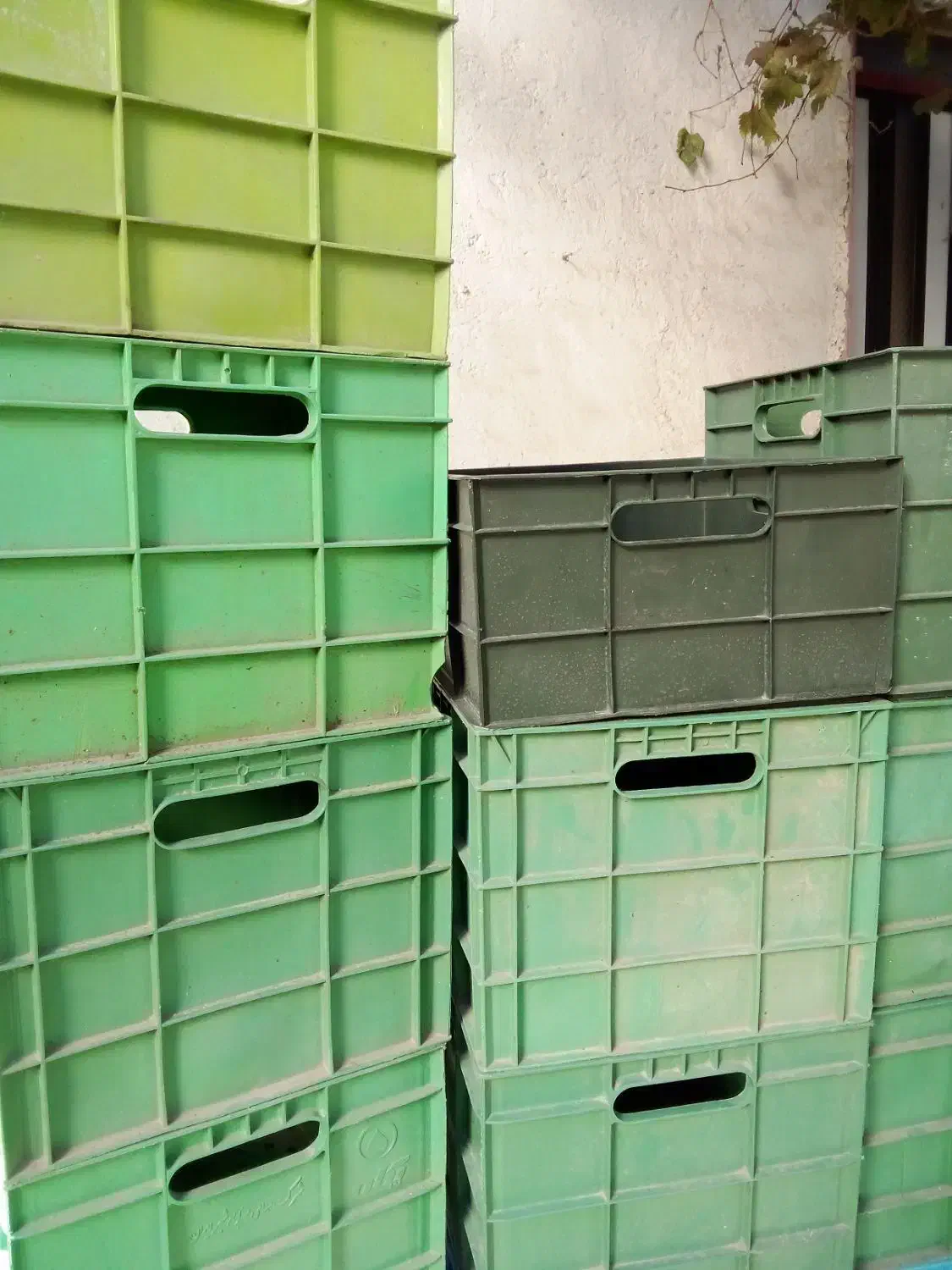 جعبه شیر|ظروف نگهدارنده، پلاستیکی، یکبارمصرف|گرگان, |دیوار