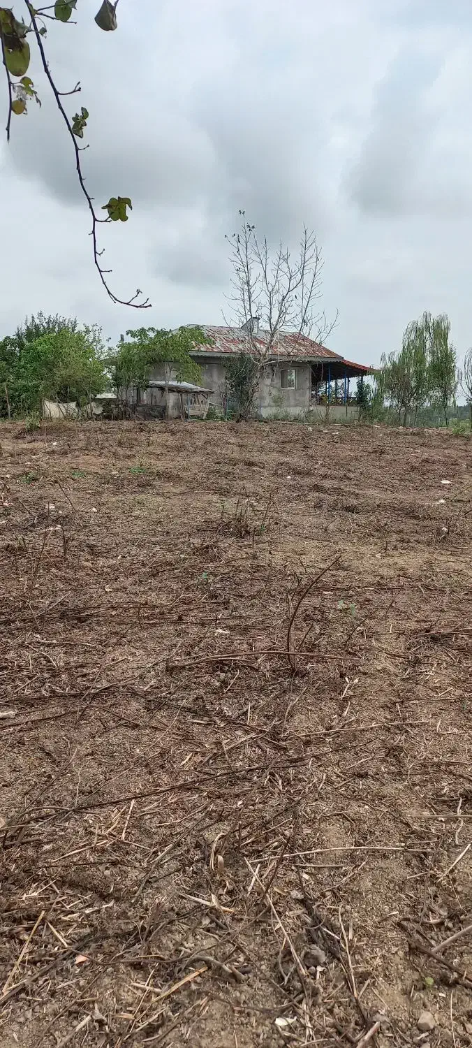 زمین باغی ویو ابدی|فروش زمین و ملک کلنگی|رشت, استقامت ۲|دیوار