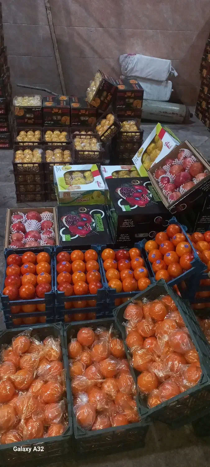 تهیه میوه ازصفرتاصد برای مغازه میوه فروشی تالاررا|عمدهفروشی|تهران, خانی آباد نو شمالی|دیوار