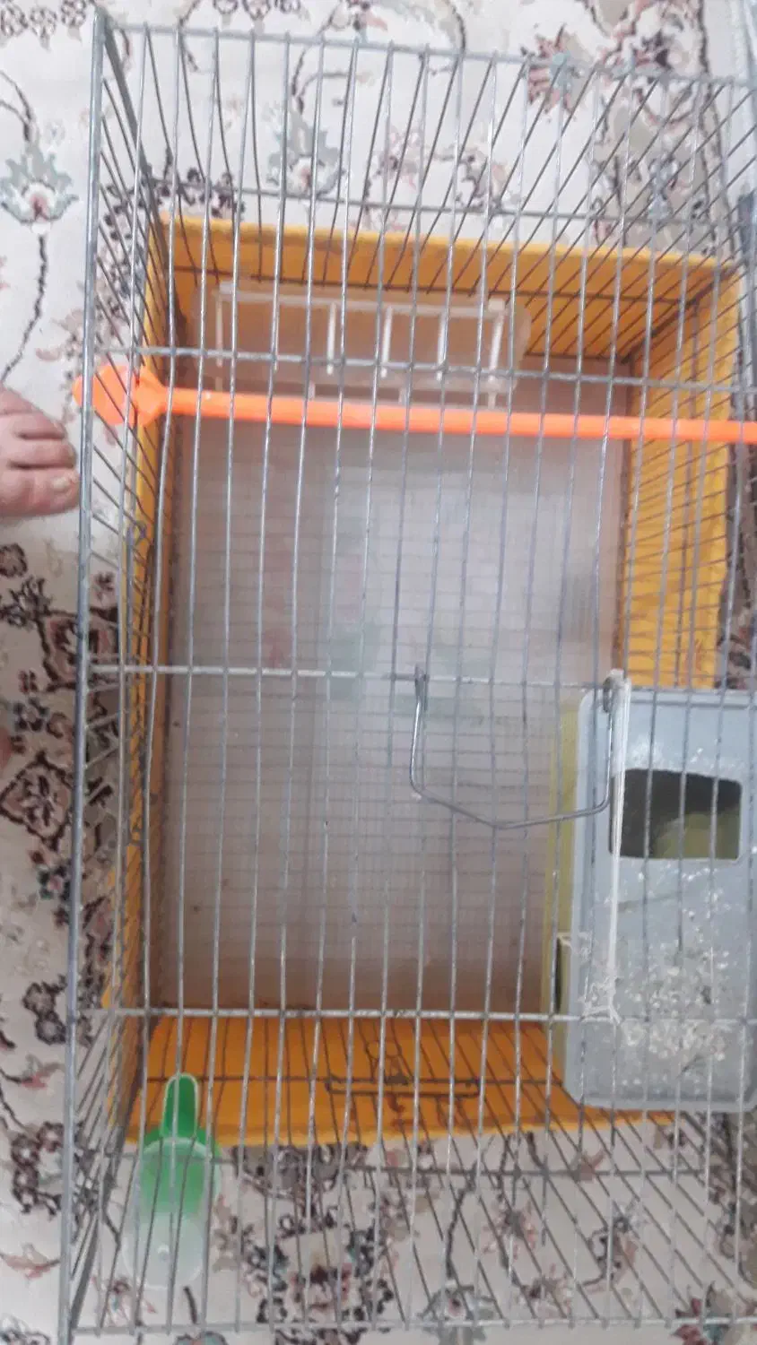 قفس پرنده|لوازم جانبی حیوانات|مشهد, شفا|دیوار