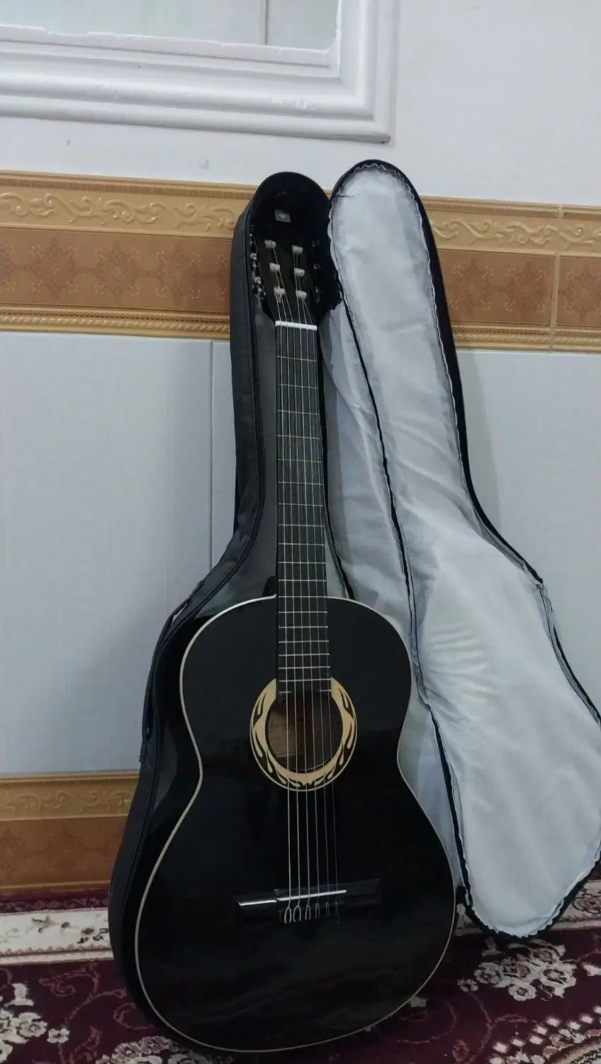 گیتار نو استفاده نشده|گیتار، بیس، امپلیفایر|سیرجان, |دیوار