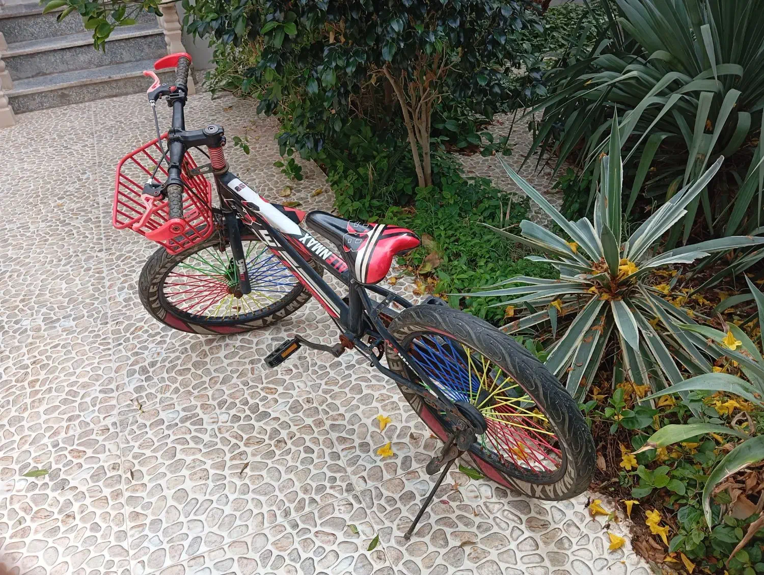 دوچرخه 20|دوچرخه، اسکیت، اسکوتر|بندر دیر, |دیوار