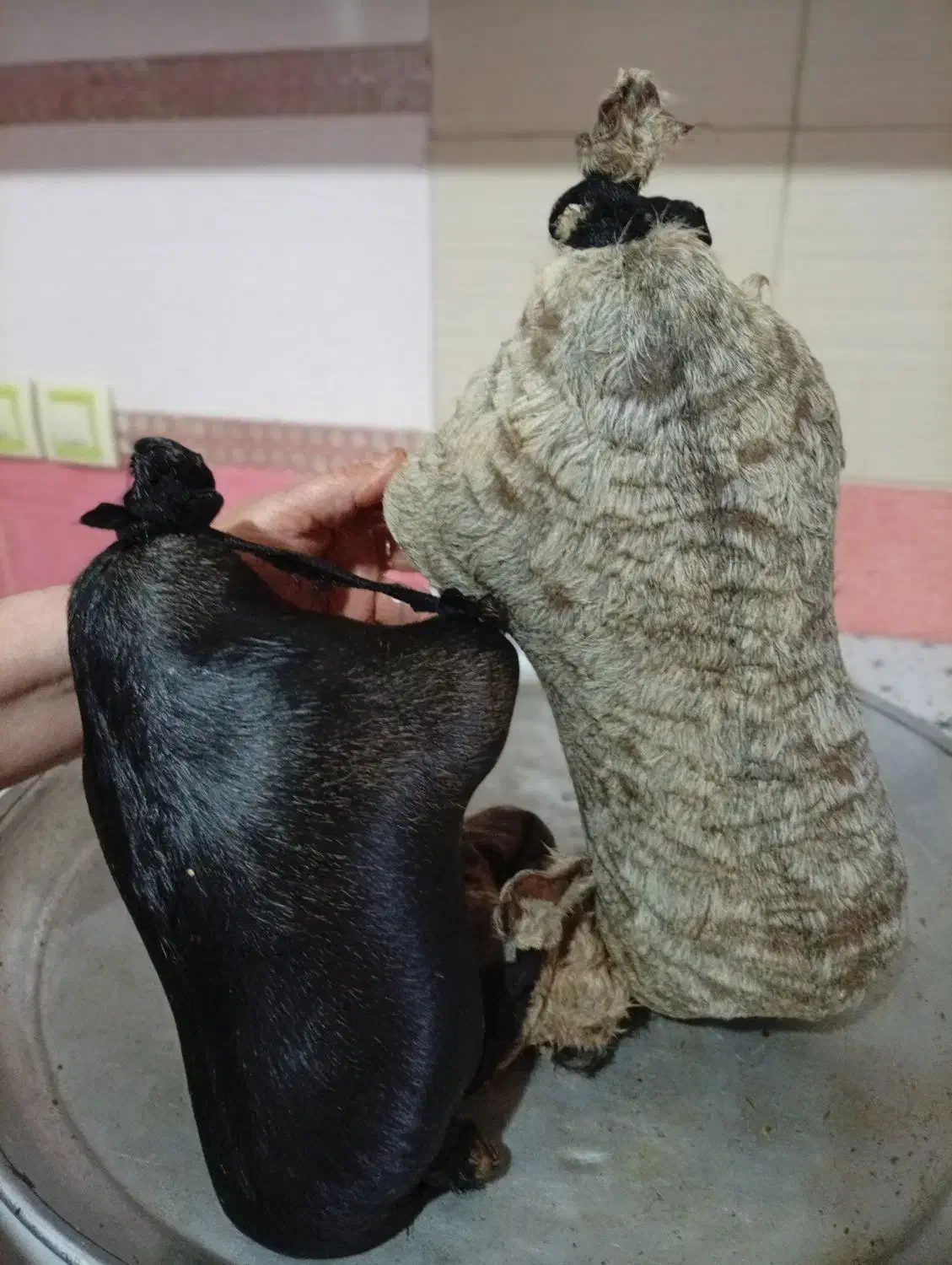 حوزول روغن|آرایشی، بهداشتی، درمانی|سیلاخور, |دیوار