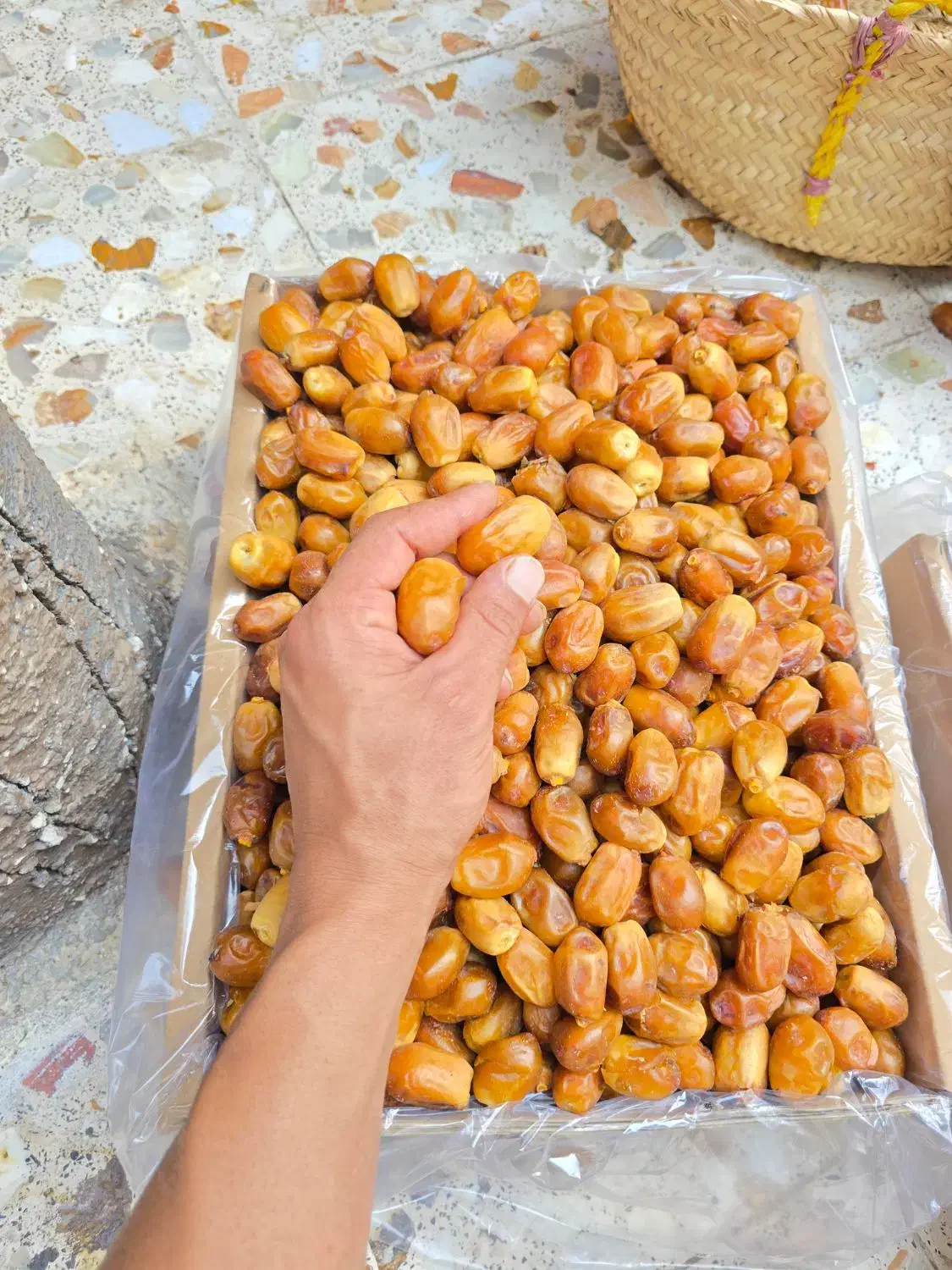 قصب زاهدی|خوردنی و آشامیدنی|بوشکان, |دیوار