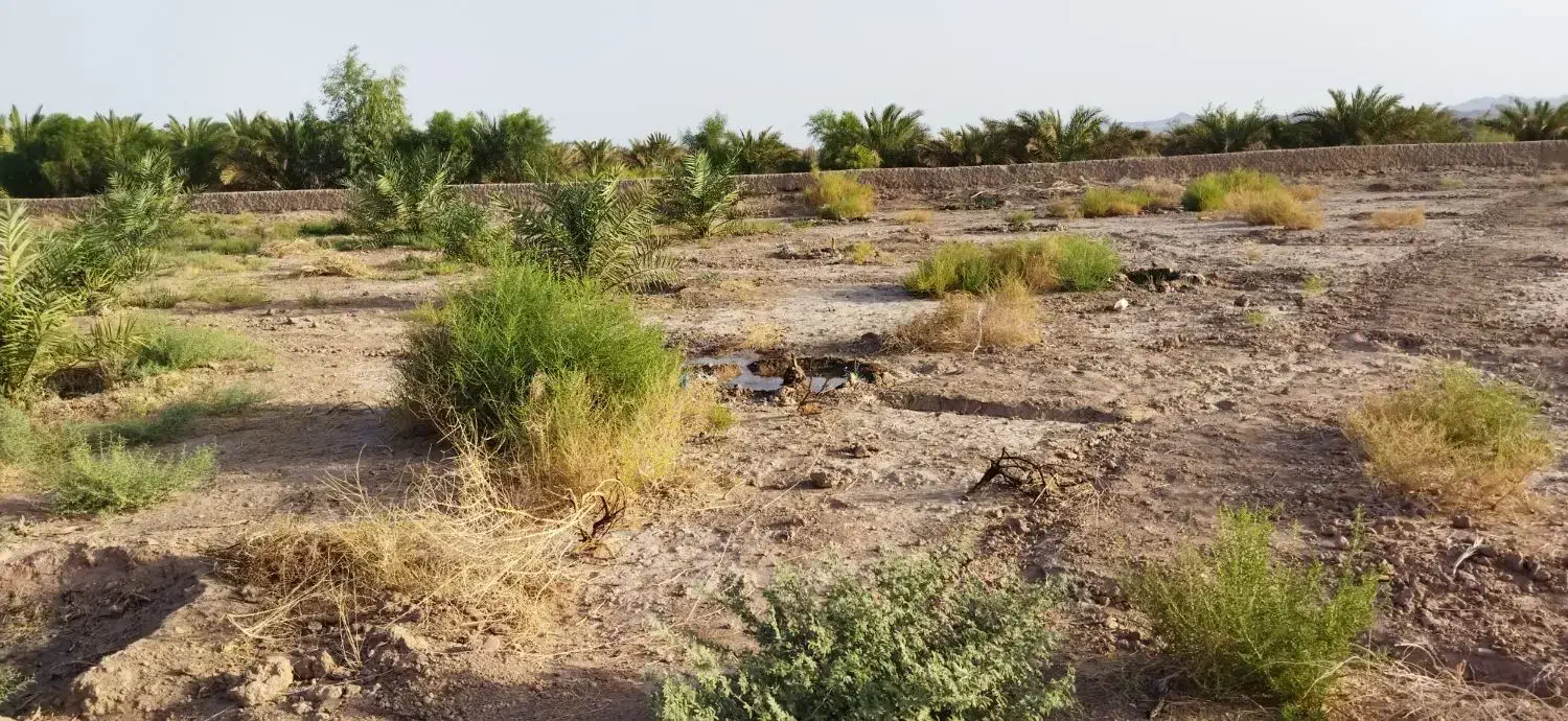 فروش یک ساعت اب زمین کشاورزی|فروش زمین و ملک کلنگی|فهرج, |دیوار