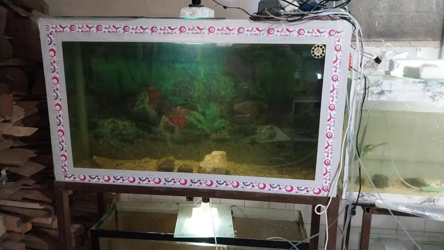 آکواریوم بزرگ با پایه|ماهی|قزوین, |دیوار
