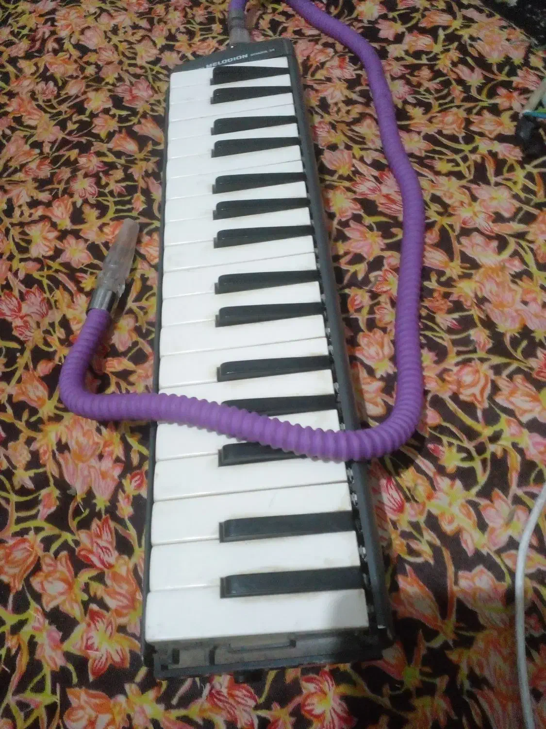 سازمولودیکامدل سوزوکی|پیانو، کیبورد، آکاردئون|آزادشهر, |دیوار