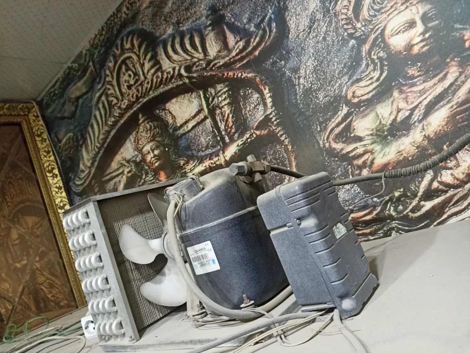 یخچال مغازه|فروشگاه و مغازه|مشهد, مهدی آباد|دیوار