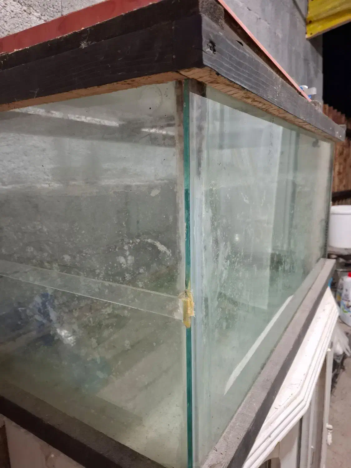 آکواریوم بزرگ|ماهی|رامسر, |دیوار