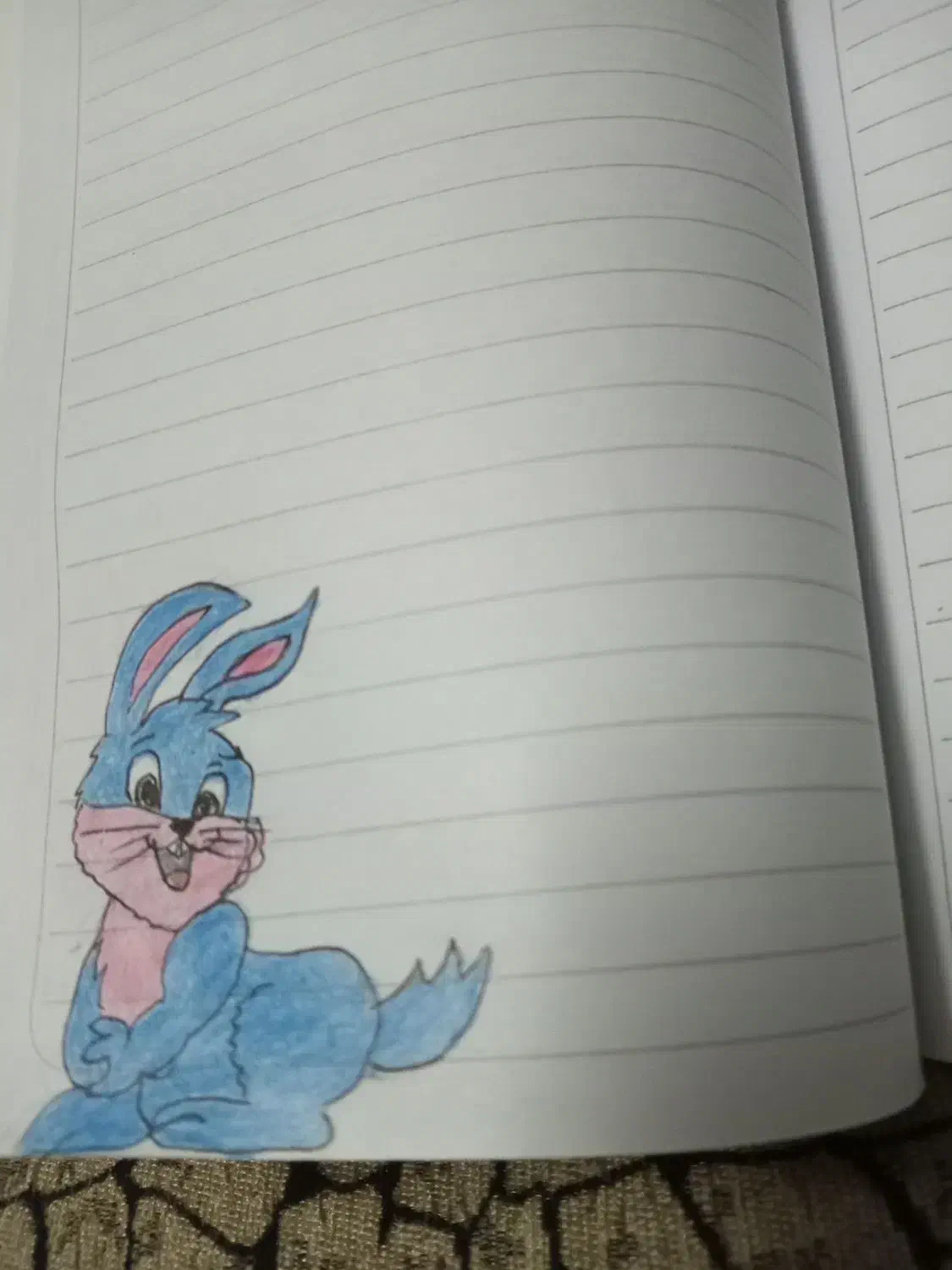 چند عدد دفتر ۸۰ و۵۰ برگ دارم|لوازم التحریر|تفرش, |دیوار