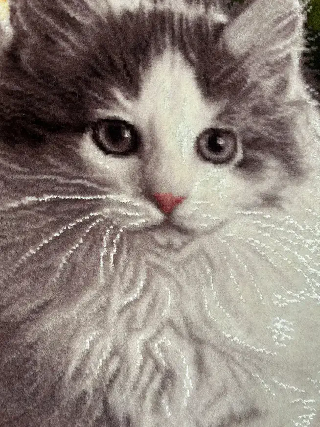 تابلو فرش دستبافت|تابلو فرش|تهران, وحیدیه|دیوار