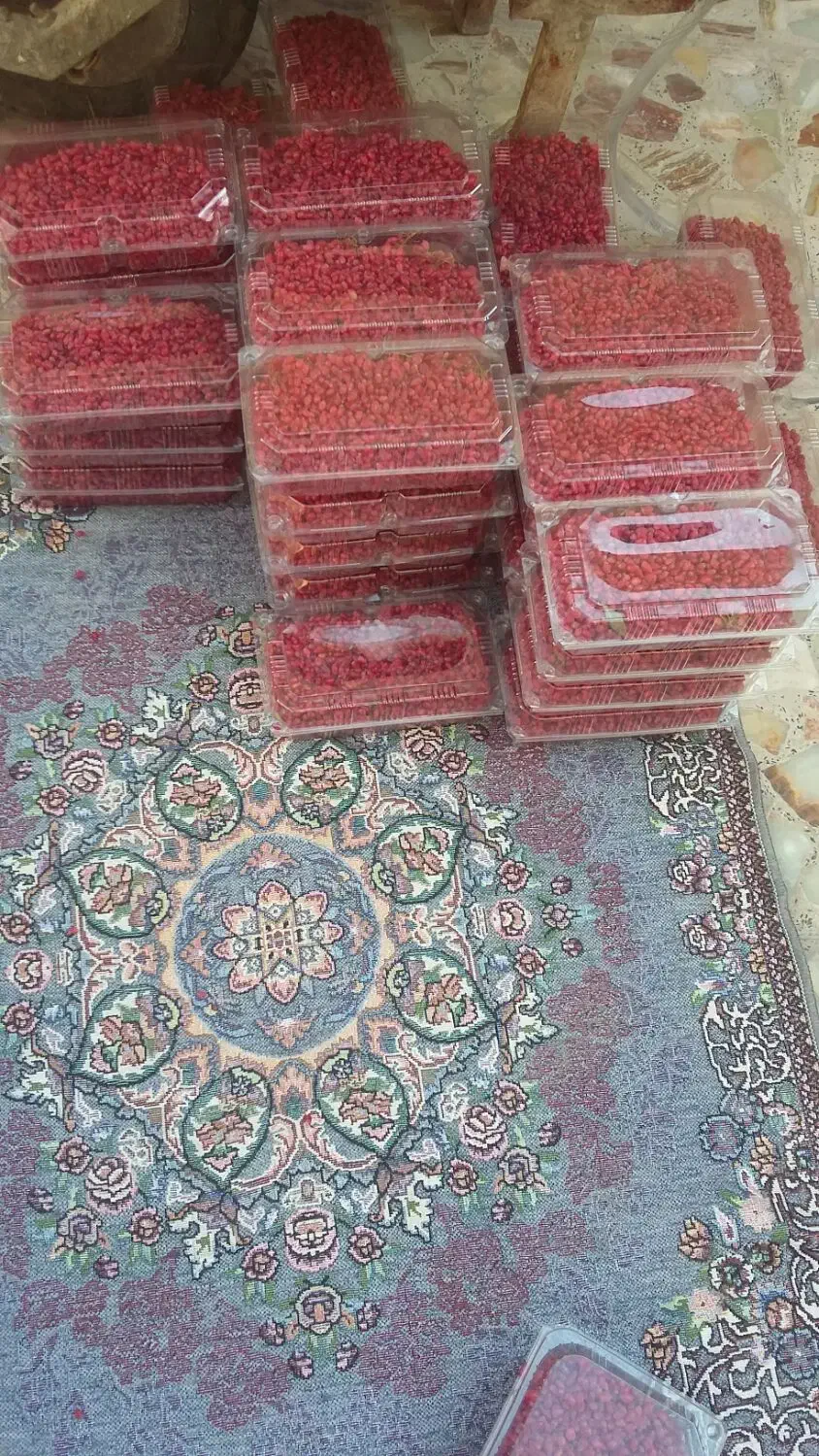 زرشک تازه (سوغات خراسان جنوبی )|خوردنی و آشامیدنی|ایرانشهر, |دیوار