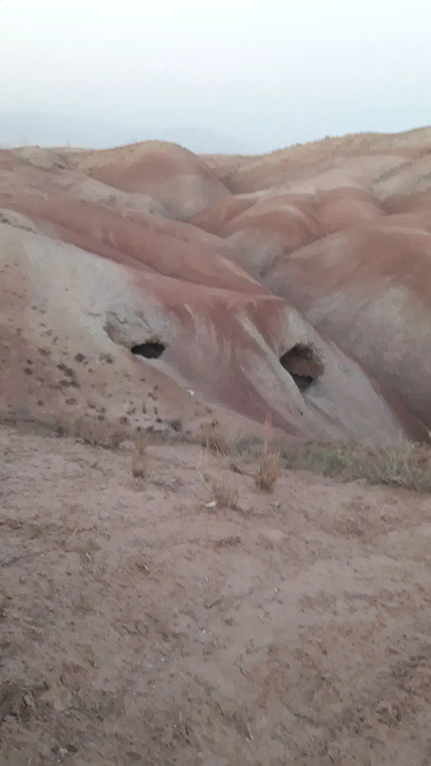 حفر چاه و خالی کردن خاک راهرو جوش کاری|خدمات پیشه و مهارت|چهارباغ, |دیوار