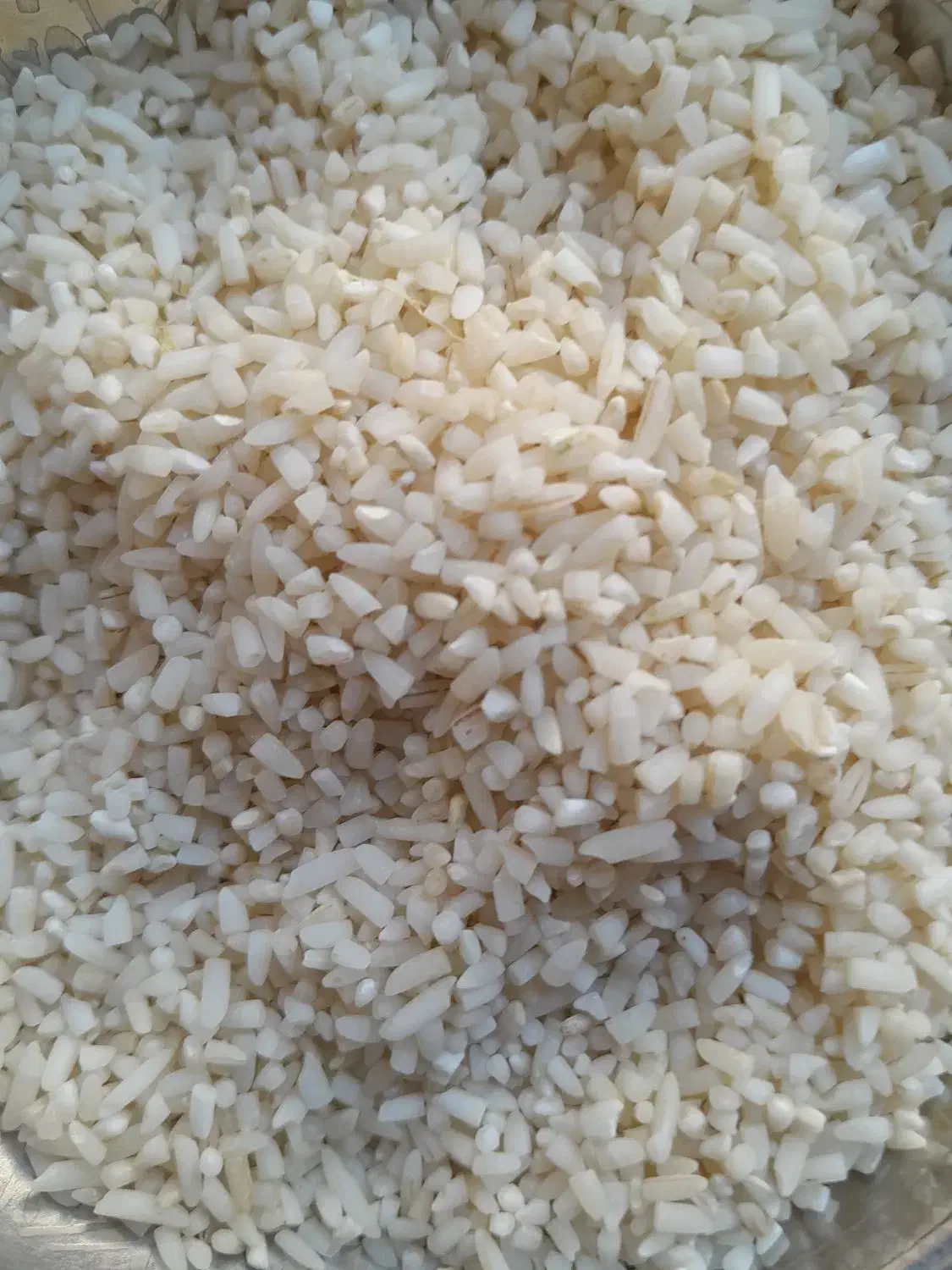 سلام نمیدانم هاشمی بشرط پخت|خوردنی و آشامیدنی|شفت, |دیوار