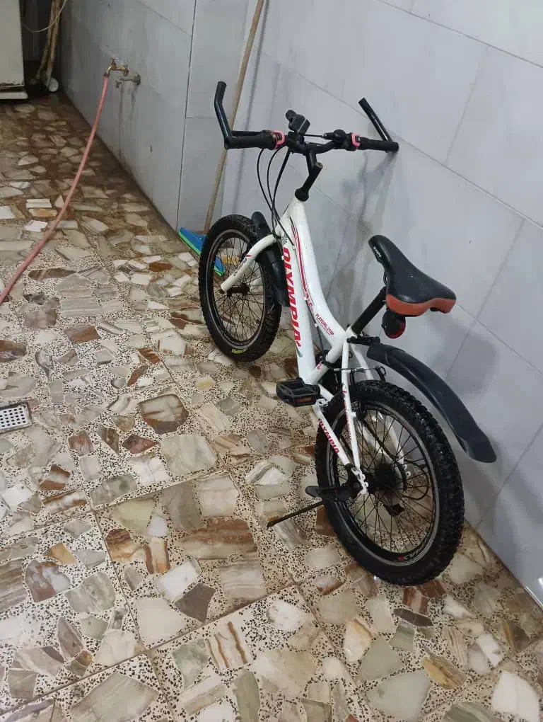 دوچرخه|دوچرخه، اسکیت، اسکوتر|لاهیجان, کوی آزادگان|دیوار