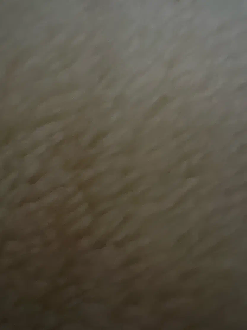 زمین قولنامه ای شهرک رجایی|فروش زمین و ملک کلنگی|برازجان, |دیوار