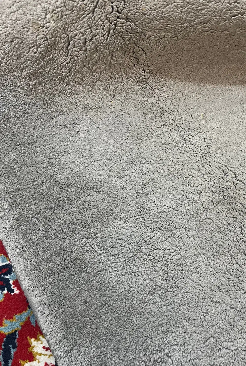 پالاز موکت|موکت|بندر ماهشهر, |دیوار