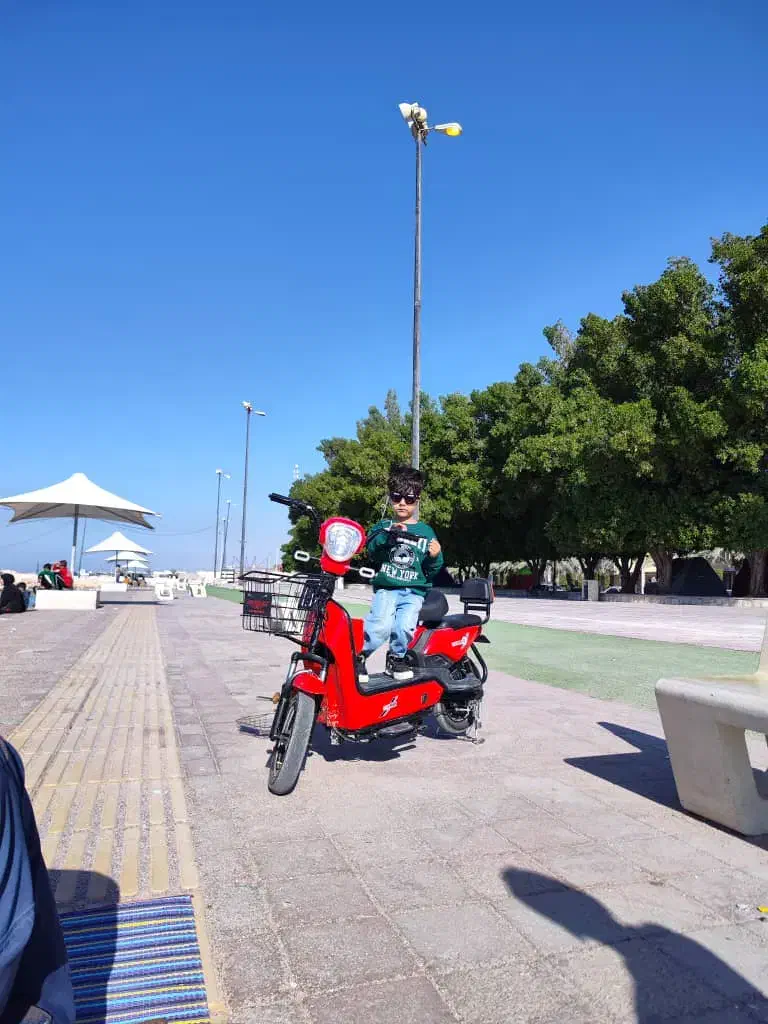 فروش موتور شارژی|موتورسیکلت|عسلویه, |دیوار